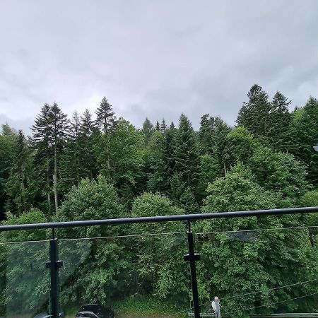 Appartement Apartament Dwupoziomowy Z Klimatyzacja à Krynica-Zdrój Extérieur photo