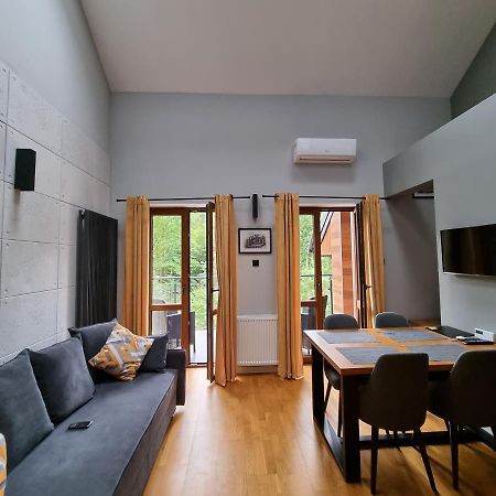 Appartement Apartament Dwupoziomowy Z Klimatyzacja à Krynica-Zdrój Extérieur photo