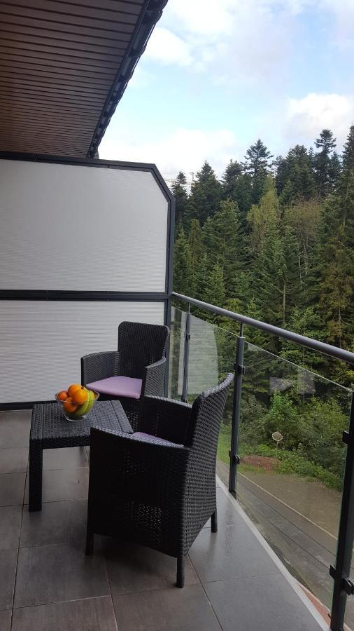 Appartement Apartament Dwupoziomowy Z Klimatyzacja à Krynica-Zdrój Extérieur photo